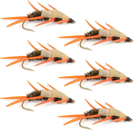 Double Bead Peacock Stonefly Nymph with Amber Biot Legs Fly Fishing Flies - 6 Flies Hook Size 8 - Hazy Fly Fishing