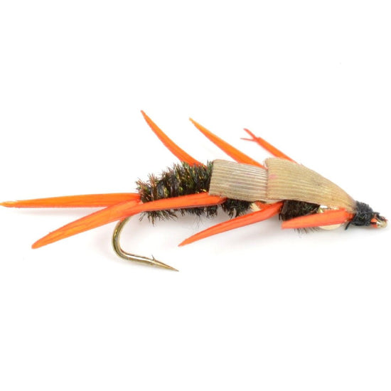 Double Bead Peacock Stonefly Nymph with Amber Biot Legs Fly Fishing Flies - 6 Flies Hook Size 8 - Hazy Fly Fishing
