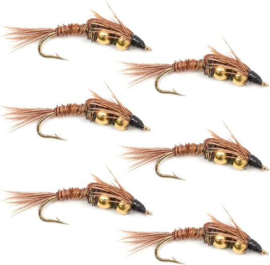 Double Bead Pheasant Tail Nymph Fly Fishing Flies - 6 Flies Hook Size 14 - Hazy Fly Fishing