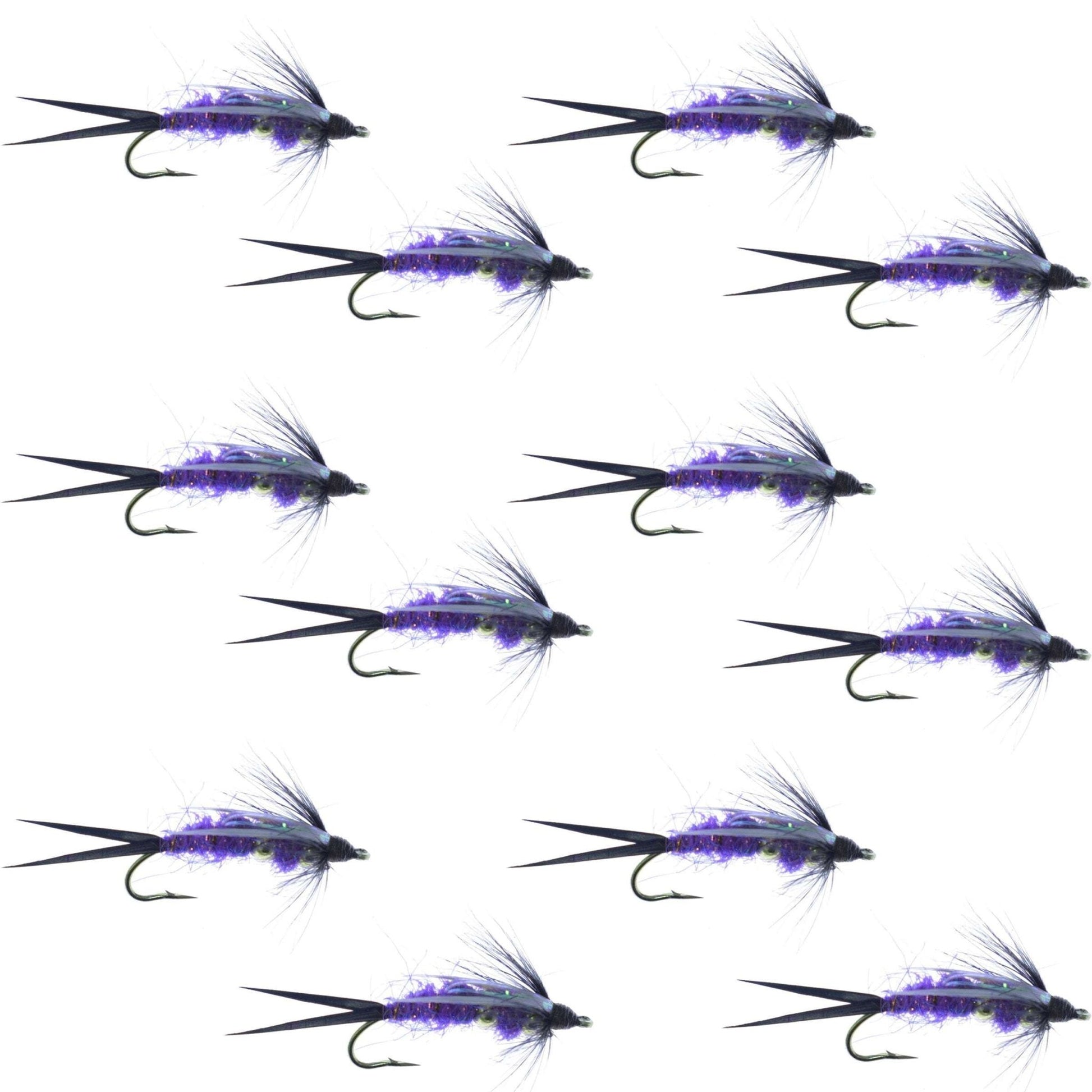 Double Bead Purple Psycho Prince Nymph Fly Fishing Flies - 1 Dozen Flies Hook Size 12 - Hazy Fly Fishing