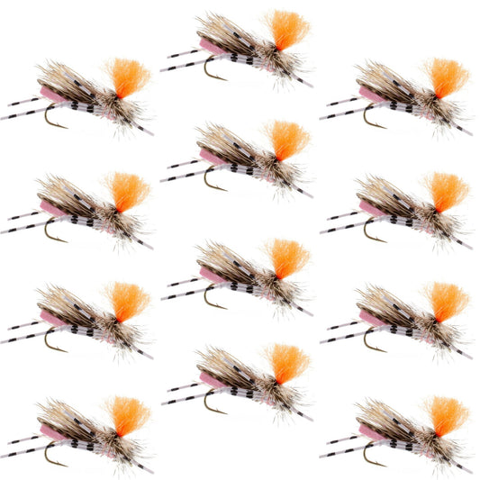 Feth Hopper Pink - Foam Grasshopper Fly Pattern - 1 Dozen Flies Hook Size 10 - Hazy Fly Fishing