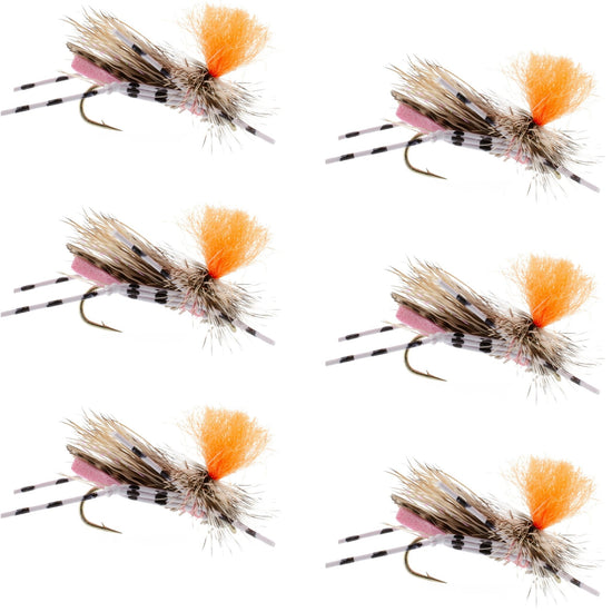 Feth Hopper Pink - Foam Grasshopper Fly Pattern - 6 Flies Flies Hook Size 10 - Hazy Fly Fishing