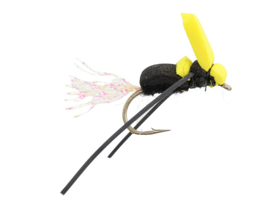 Foam Bumblebee, Size 12 | Qty. 6 | Wild Water Fly Fishing - Hazy Fly Fishing