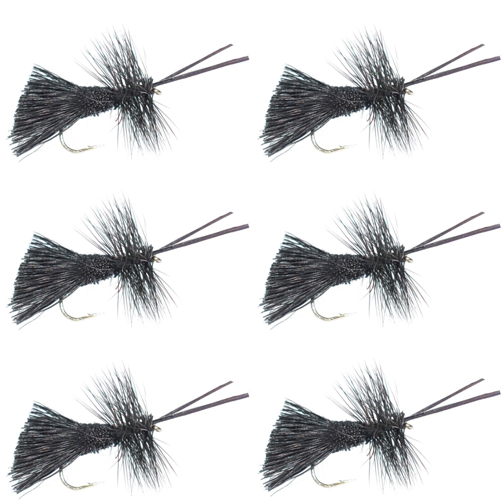 Goddard Caddis Black Dry Fly - 6 Flies Hook Size 14 - Hazy Fly Fishing