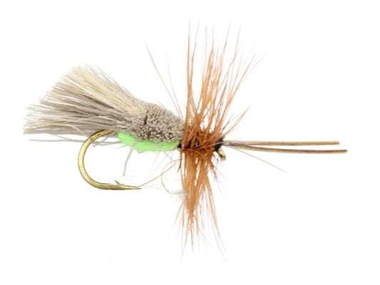 Goddard Caddis with Chartreuse Underside, Size 12 | Qty. 6 | Wild Water Fly Fishing - Hazy Fly Fishing