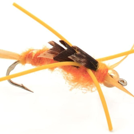 Gold Bead Kaufmann's Golden Stone Fly with Rubber Legs - Stonefly Wet Fly - 6 Flies Hook Size 12 - Hazy Fly Fishing