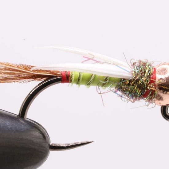 Golden StoneFly - Hazy Fly Fishing