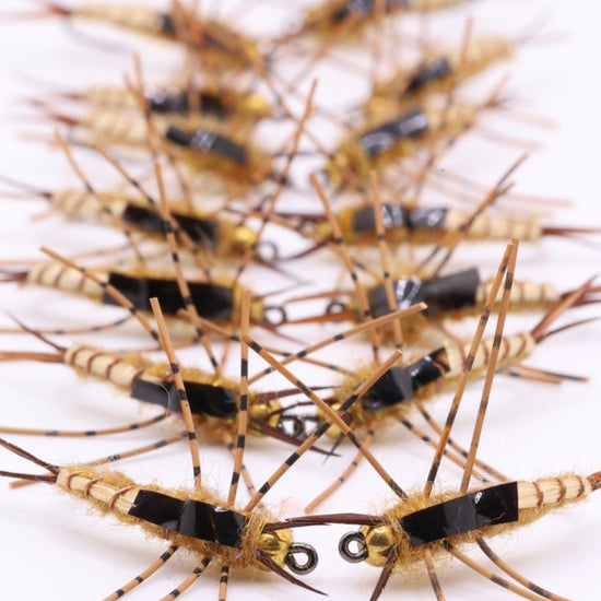 Hazy Heavy Hitter Stone - Hazy Fly Fishing