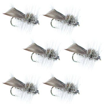 Hemingway Caddis Dry Fly - 6 Flies Hook Size 18 - Hazy Fly Fishing