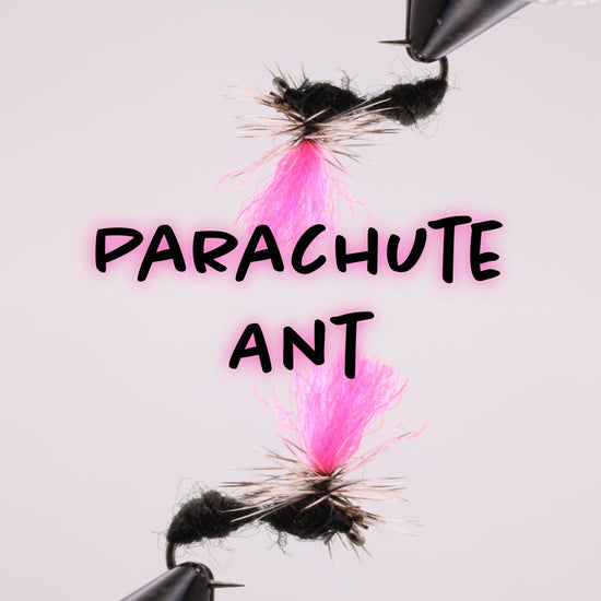 Hi - Viz Ant - Hazy Fly Fishing