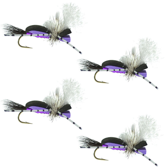 Hippie Stomper Black Purple Foam Body Grasshopper Dry Fly - 4 flies Size 14 - Hazy Fly Fishing