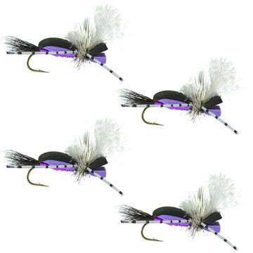Hippie Stomper Black Purple Foam Body Grasshopper Dry Fly - 4 flies Size 14 - Hazy Fly Fishing