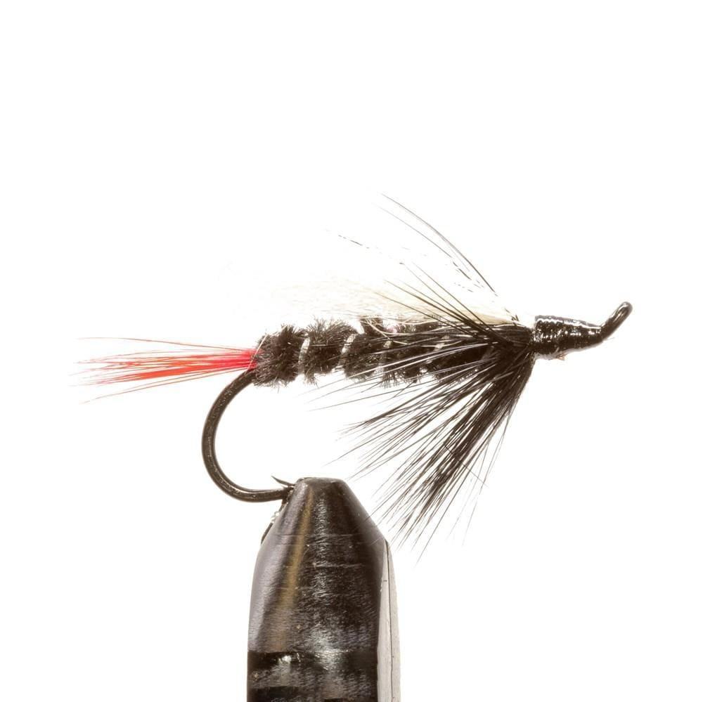 JHFLYCO Loaded Foam Fly Box - Salmon Fly Assortment - Hazy Fly Fishing