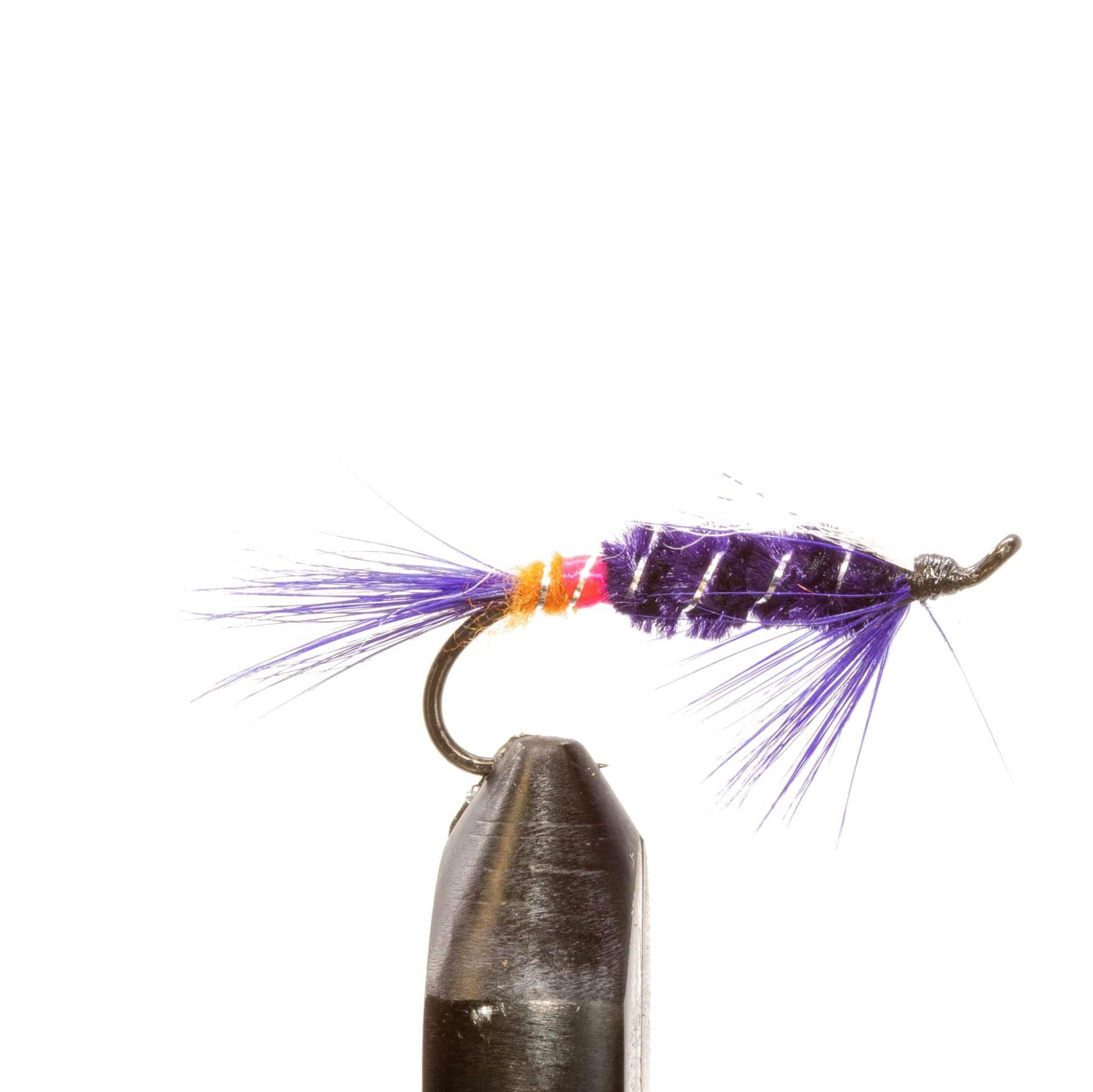 JHFLYCO Loaded Foam Fly Box - Salmon Fly Assortment - Hazy Fly Fishing
