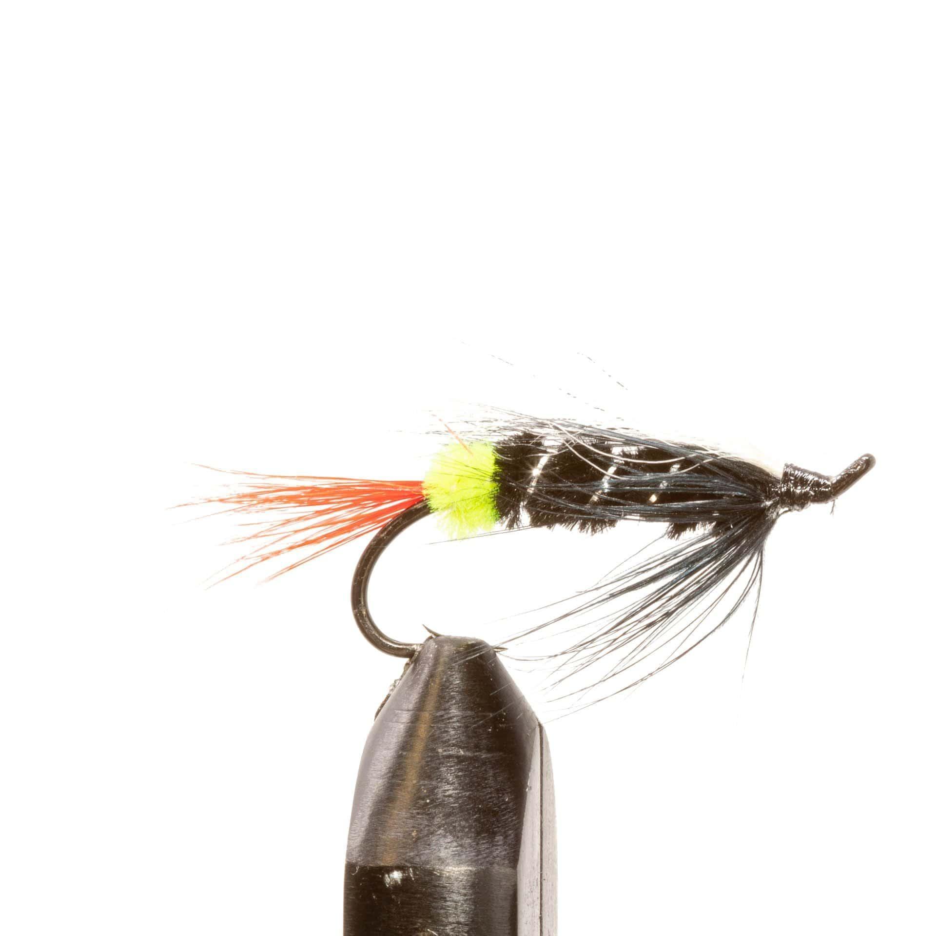 JHFLYCO Loaded Foam Fly Box - Salmon Fly Assortment - Hazy Fly Fishing