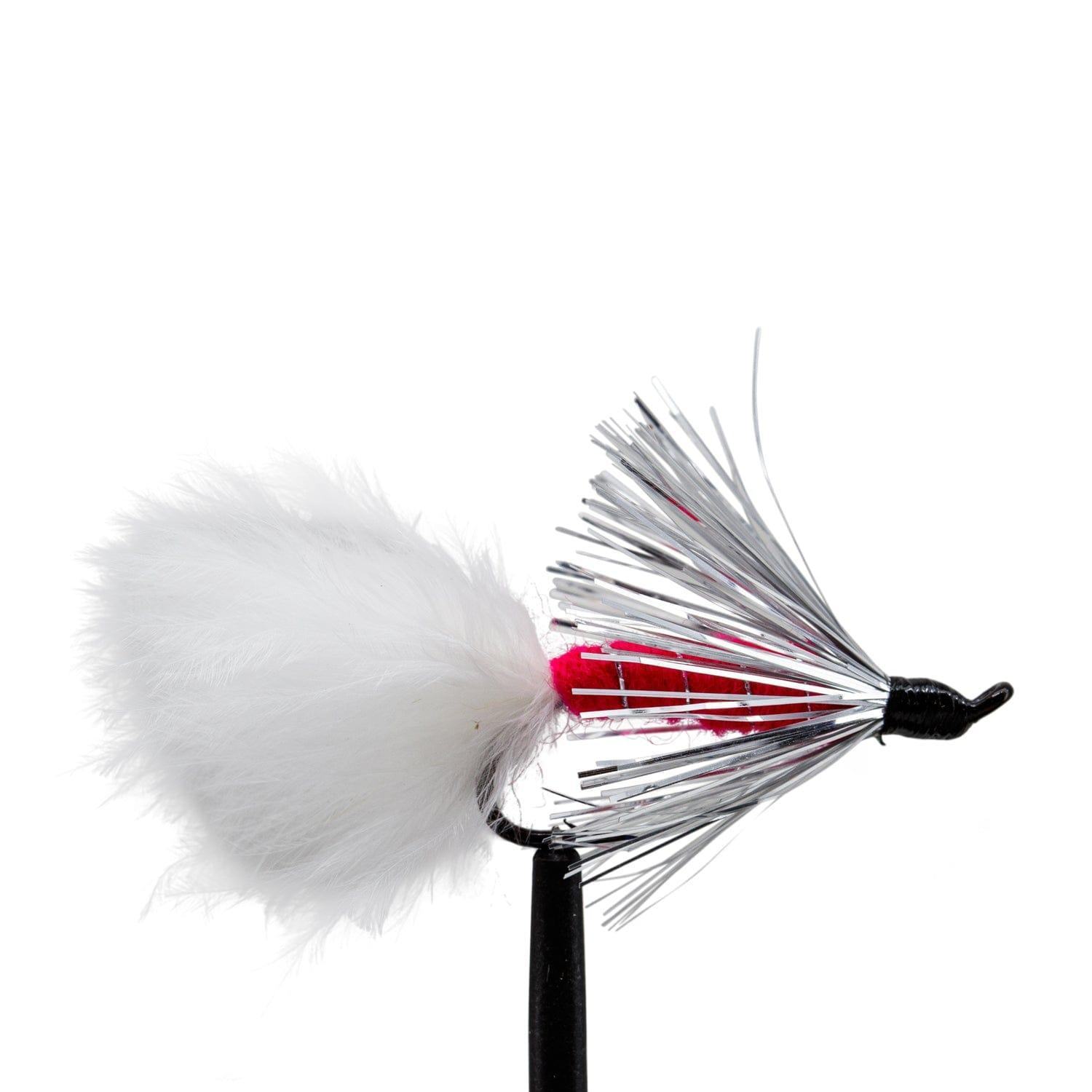 JHFLYCO Loaded Foam Fly Box - Salmon Fly Assortment - Hazy Fly Fishing