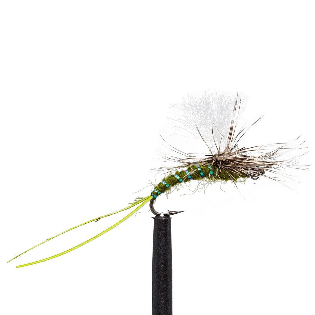 JHFLYCO Loaded Foam Fly Box - Standard Dry Fly Assortment - Hazy Fly Fishing