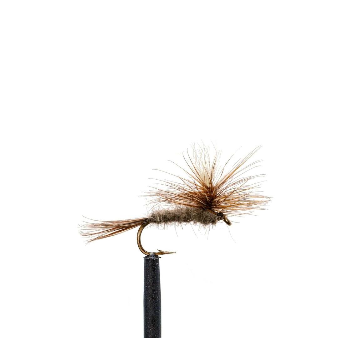 JHFLYCO Loaded Foam Fly Box - Standard Dry Fly Assortment - Hazy Fly Fishing