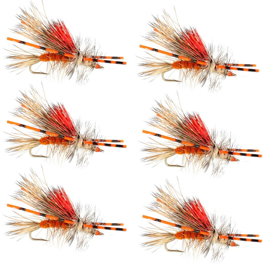 Kaufmann's Orange Crystal Stimulator Rubber Legs Dry Fly - 6 Flies Hook Size 16 - Hazy Fly Fishing