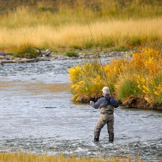 Kaufmann's Yellow Crystal Stimulator Rubber Legs Dry Fly - 1 Dozen Flies Hook Size 14 - Hazy Fly Fishing