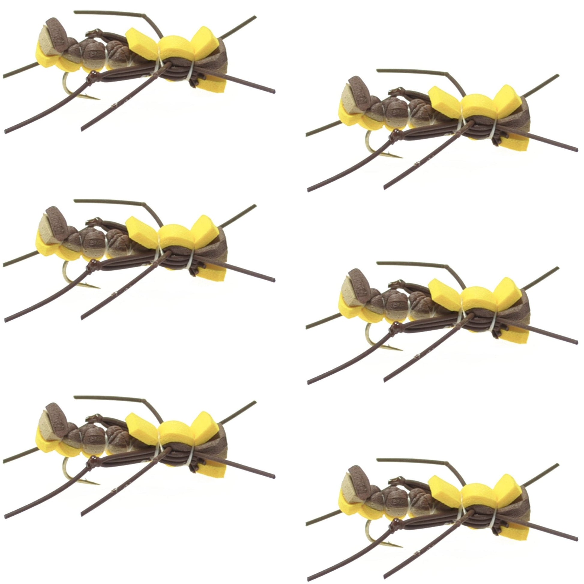 Mantis BLT Foam Body Grasshopper Fly - 6 Flies Hook Size 10 - Hazy Fly Fishing