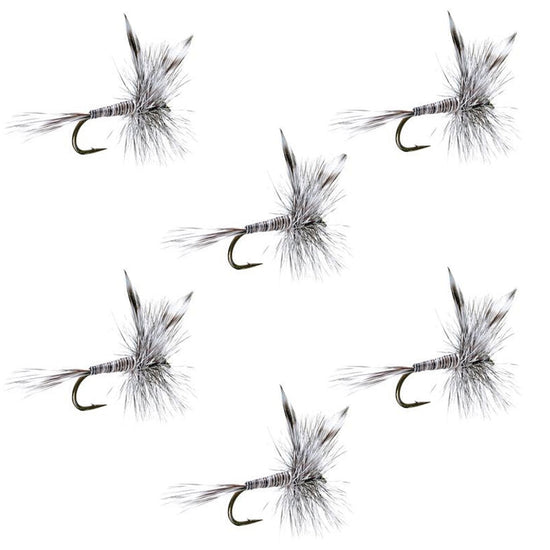 Mosquito Classic Trout Dry Fly Fishing Flies - Set of 6 Flies Size 14 - Hazy Fly Fishing