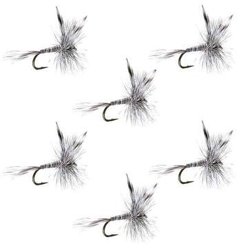 Mosquito Classic Trout Dry Fly Fishing Flies - Set of 6 Flies Size 14 - Hazy Fly Fishing