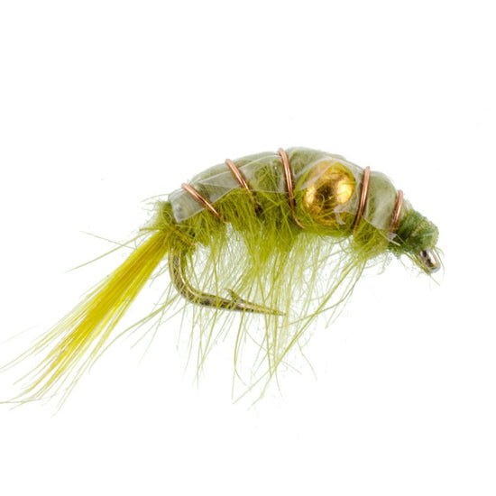 Olive Beaded Shrimp Scud Pattern - 6 Flies - Size 12 - Tailwater Lake Fly Fishing Nymph Flies - Hazy Fly Fishing