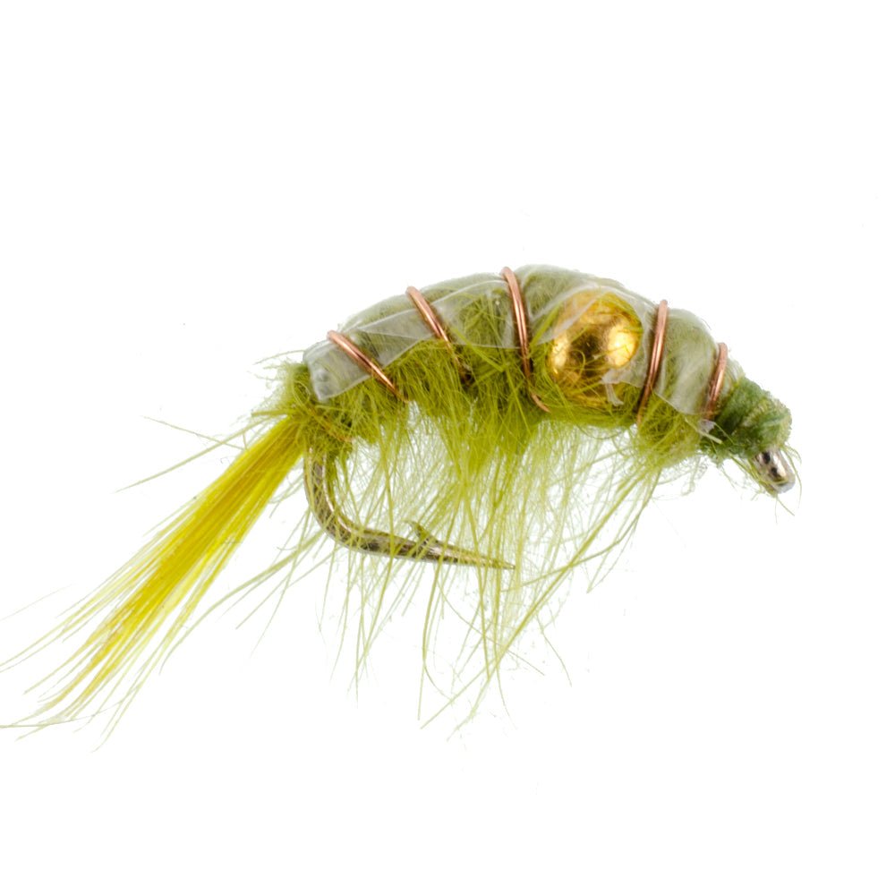 Olive Beaded Shrimp Scud Pattern - 6 Flies - Size 12 - Tailwater Lake Fly Fishing Nymph Flies - Hazy Fly Fishing