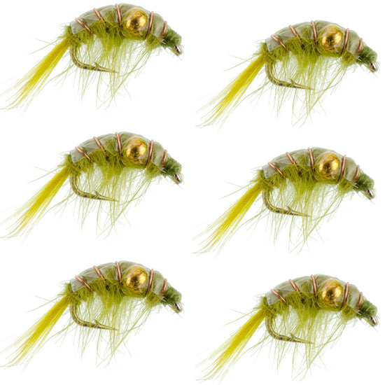 Olive Beaded Shrimp Scud Pattern - 6 Flies - Size 12 - Tailwater Lake Fly Fishing Nymph Flies - Hazy Fly Fishing