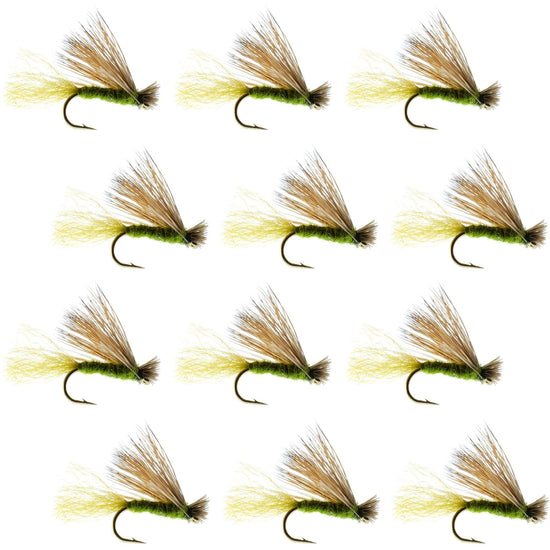 Olive X Caddis Emerging Caddis Adult Trout Dry Fly - 1 Dozen Flies Hook Size 14 - Hazy Fly Fishing