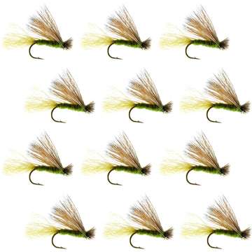Olive X Caddis Emerging Caddis Adult Trout Dry Fly - 1 Dozen Flies Hook Size 14 - Hazy Fly Fishing