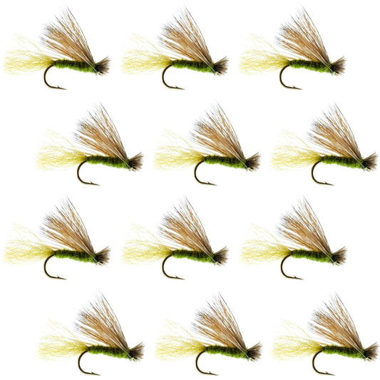 Olive X Caddis Emerging Caddis Adult Trout Dry Fly - 1 Dozen Flies Hook Size 16 - Hazy Fly Fishing