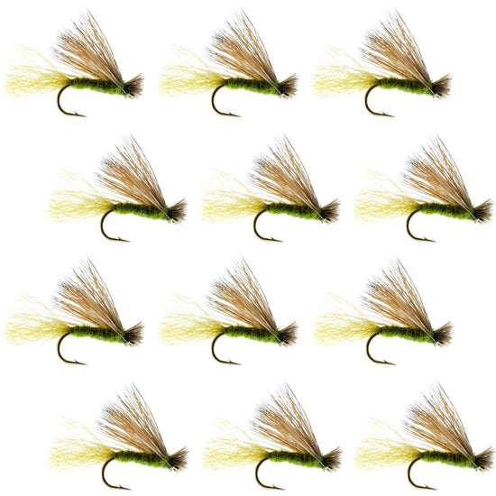 Olive X Caddis Emerging Caddis Adult Trout Dry Fly - 1 Dozen Flies Hook Size 18 - Hazy Fly Fishing