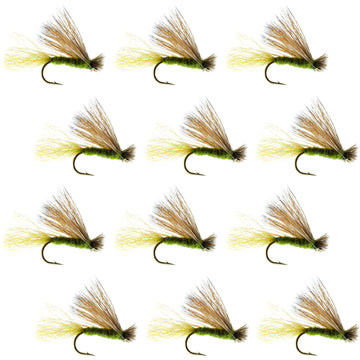 Olive X Caddis Emerging Caddis Adult Trout Dry Fly - 1 Dozen Flies Hook Size 18 - Hazy Fly Fishing