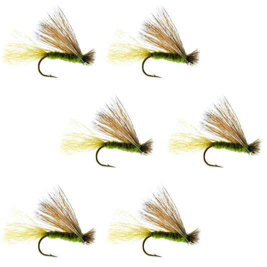 Olive X Caddis Emerging Caddis Adult Trout Dry Fly - 6 Flies Hook Size 14 - Hazy Fly Fishing