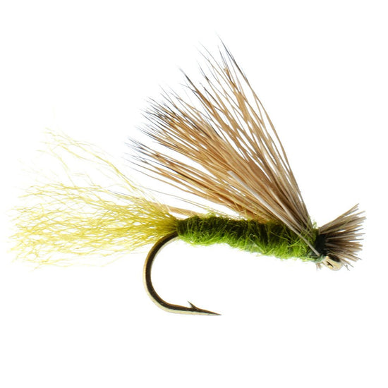 Olive X Caddis Emerging Caddis Adult Trout Dry Fly - 6 Flies Hook Size 14 - Hazy Fly Fishing