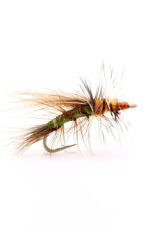 Olive/Orange Stimulator - Hazy Fly Fishing