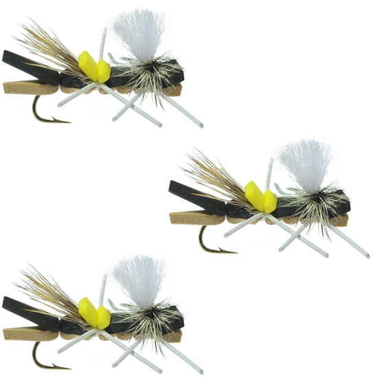 Pack Parachute Chernobyl Ant Black Tan Foam Body Grasshopper Fly 6 Flies Hook Size 10 - Hazy Fly Fishing