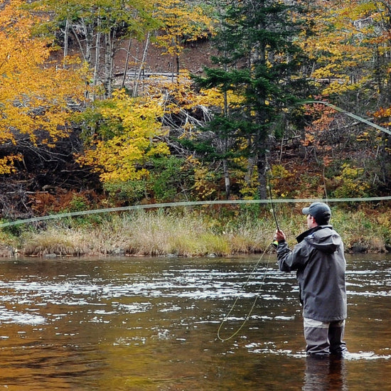 Pale Morning Dun PMD Classic Dry Fly - 6 Flies Hook Size 14 - Hazy Fly Fishing