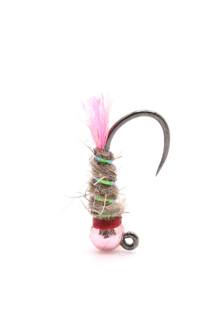 Pink Walt - Hazy Fly Fishing