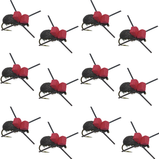Red Top Black Foam Beetle Terrestrial Trout Dry Fly Fishing Flies - 1 Dozen Flies Size 14 - Hazy Fly Fishing