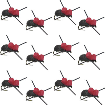 Red Top Black Foam Beetle Terrestrial Trout Dry Fly Fishing Flies - 1 Dozen Flies Size 14 - Hazy Fly Fishing