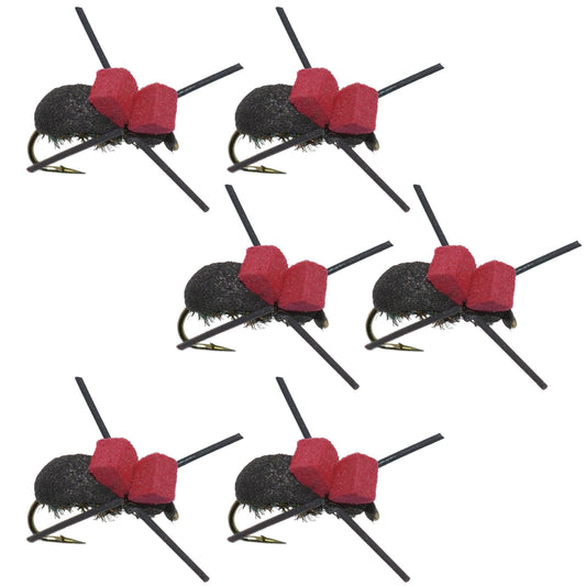 Red Top Black Foam Beetle Terrestrial Trout Dry Fly Fishing Flies - 6 Flies Size 14 - Hazy Fly Fishing