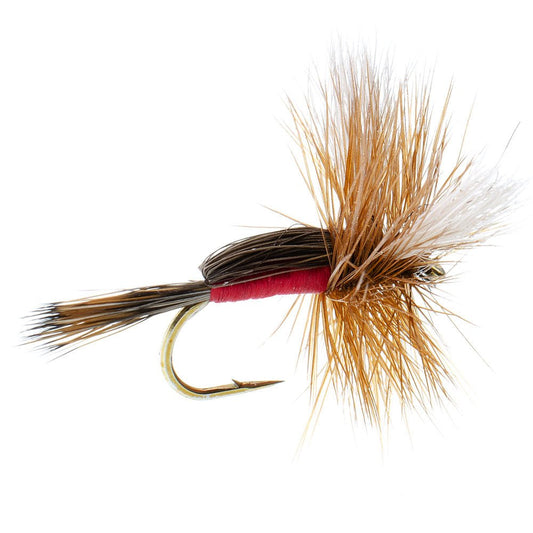 Royal Humpy Classic Hair Wing Dry Fly - 6 Flies Hook Size 10 - Hazy Fly Fishing