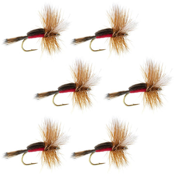 Royal Humpy Classic Hair Wing Dry Fly - 6 Flies Hook Size 16 - Hazy Fly Fishing