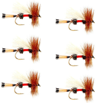 Royal Trude Classic Hair Wing Dry Fly - 6 Flies Hook Size 16 - Hazy Fly Fishing