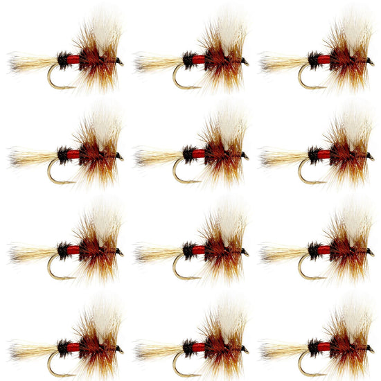 Royal Wulff Classic Trout Dry Fly Fishing Flies - Set of 12 Flies Size 12 - One Dozen - Hazy Fly Fishing