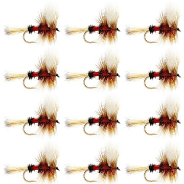 Royal Wulff Classic Trout Dry Fly Fishing Flies - Set of 12 Flies Size 12 - One Dozen - Hazy Fly Fishing