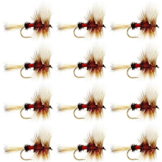 Royal Wulff Classic Trout Dry Fly Fishing Flies - Set of 12 Flies Size 14 - One Dozen - Hazy Fly Fishing